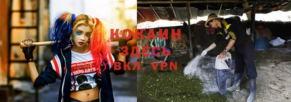 амф Арсеньев