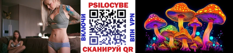 дарнет шоп  Асино  KRAKEN как зайти  Галлюциногенные грибы прущие грибы 